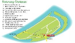 Das Bild zeigt den Plan für den Naturweg auf der Rheininsel
