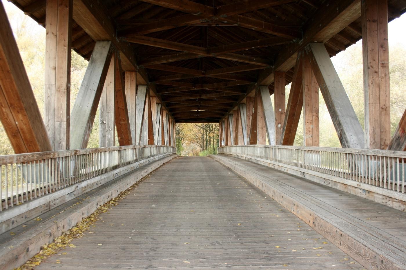 Altrheinbrücke