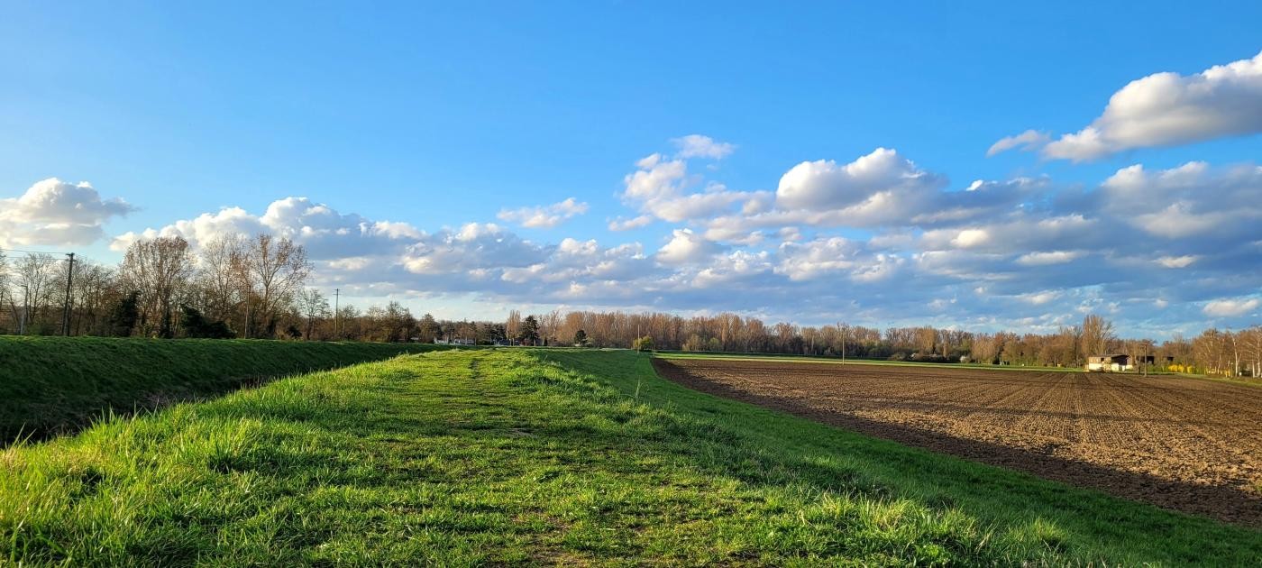 Grasfläche vor blauem Himmel und Wolken