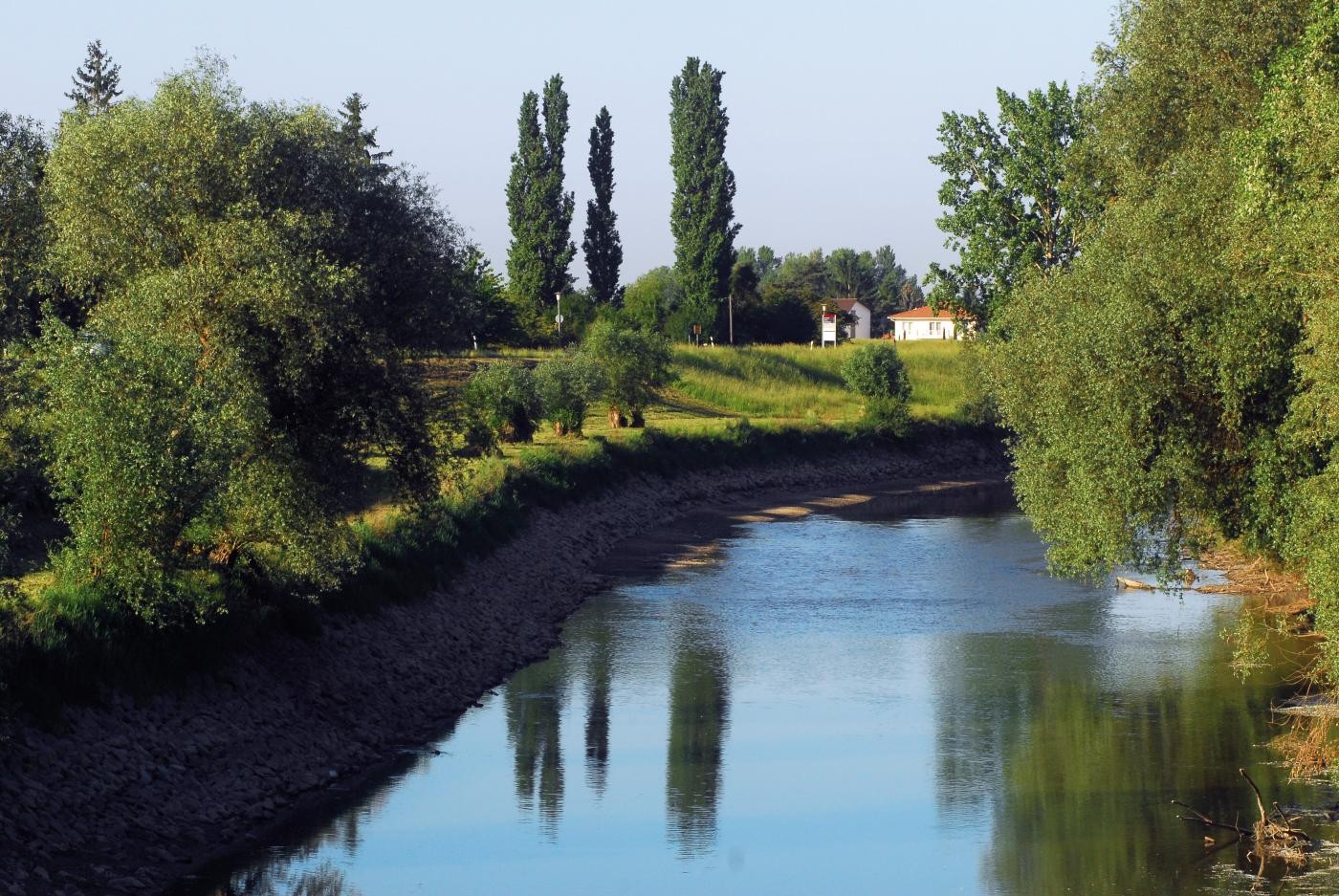 Das Bild zeigt den Altrheinarm parallell zur Straße am Rheindamm