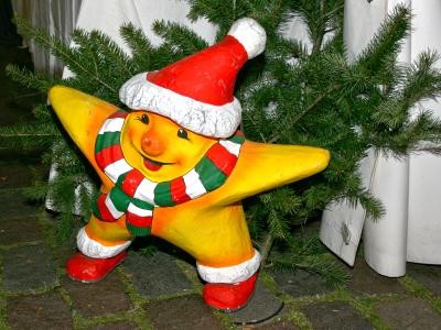 Weihnachtsstern mit Schal und Mütze vor einem Tannenbaum