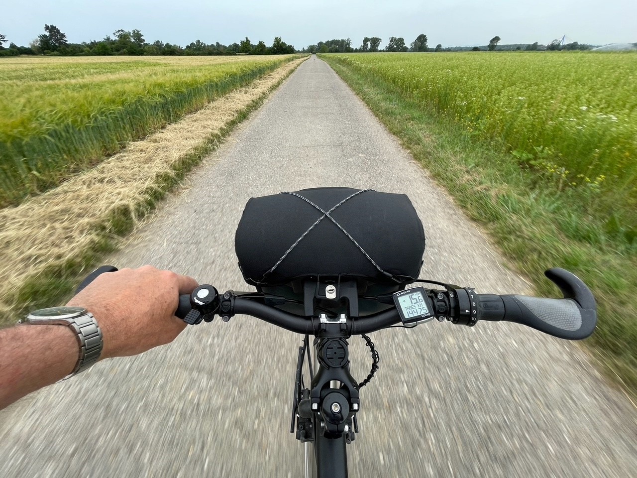 Fahrradlenkstange eines Radfahrers im Grünen unterwegs